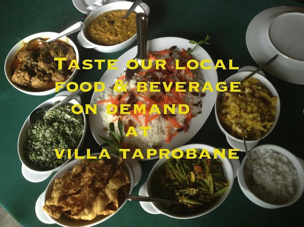 Bed & Breakfast Villa Taprobane Negombo